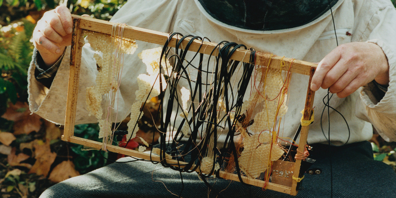 Bioni Samp, London, England