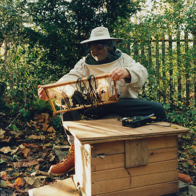 Bioni Samp, London, England